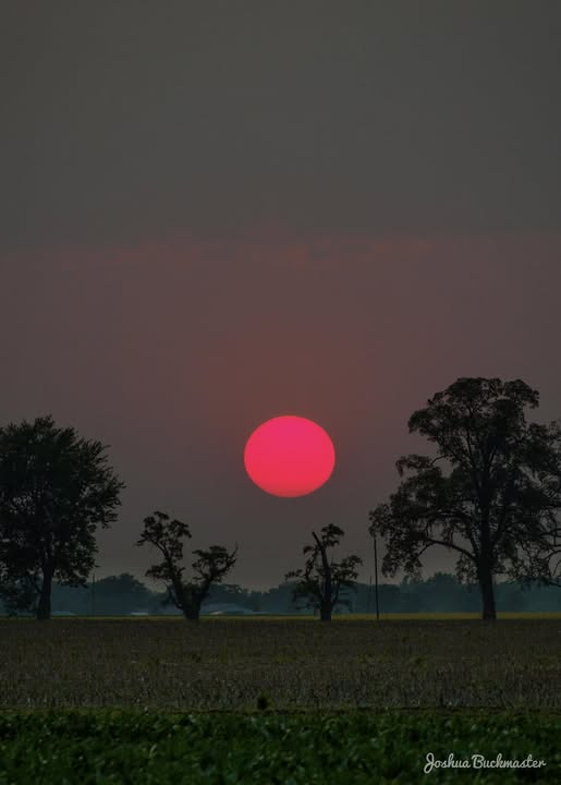 Kuntry (@girthy_gorilla) on Twitter photo 