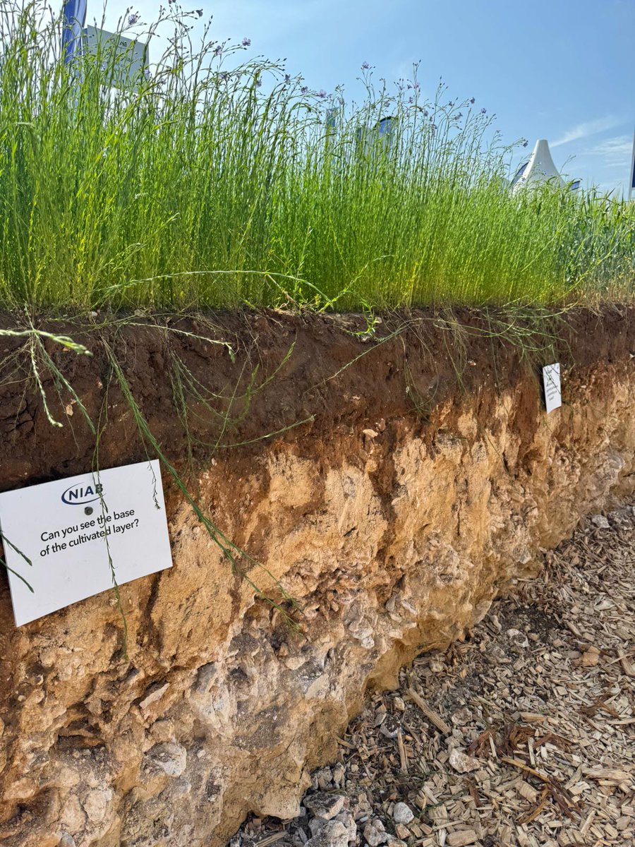Ceres Research (@ceresresearch_) on Twitter photo We had a fantastic time at <a href="/CerealsEvent/">Cereals Event</a> this year, Introducing Ceres Research to some, sharing collaboration ideas with others and presenting our exclusive members-only KPI and benchmarking tools for yield, labour and machinery to all. We look forward to seeing you next time! We had a fantastic time at <a href="/CerealsEvent/">Cereals Event</a> this year, Introducing Ceres Research to some, sharing collaboration ideas with others and presenting our exclusive members-only KPI and benchmarking tools for yield, labour and machinery to all. We look forward to seeing you next time!