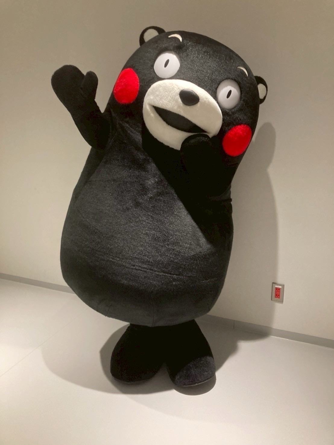 【本日特価】 くまモン【公式】 (@55_kumamon) X / 自動車