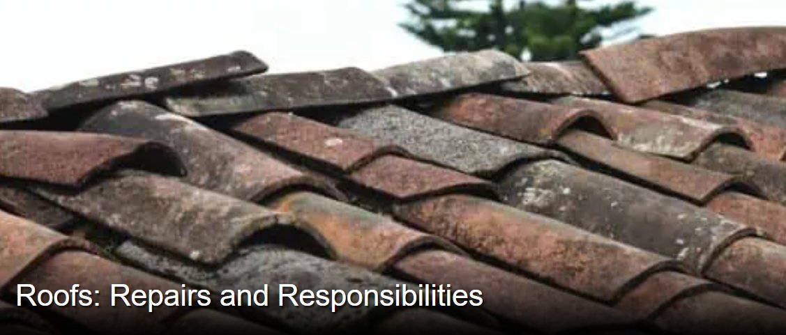 Citylets's tweet image. Who's REALLY responsible for roof repairs in a rental? Tenants, landlords or both? Avoid costly mistakes and find out what the law says, here: bit.ly/4kQ5Scc
@SafeDeposits  @UnderOneRoofSco  
#TenantTips #LandlordAdvice #RentalProperty #RoofRepairs #ProperyManagement