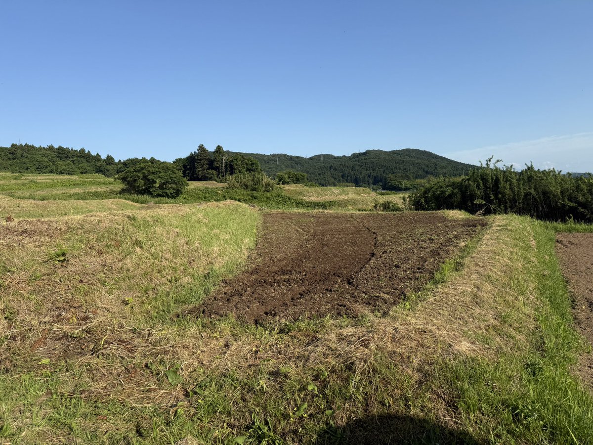 itofarm1010's tweet photo. 今日は小さい圃場へ
進入路も狭いし農道も狭い
MRだとギリギリ😅 https://t.co/5p7CjwZish