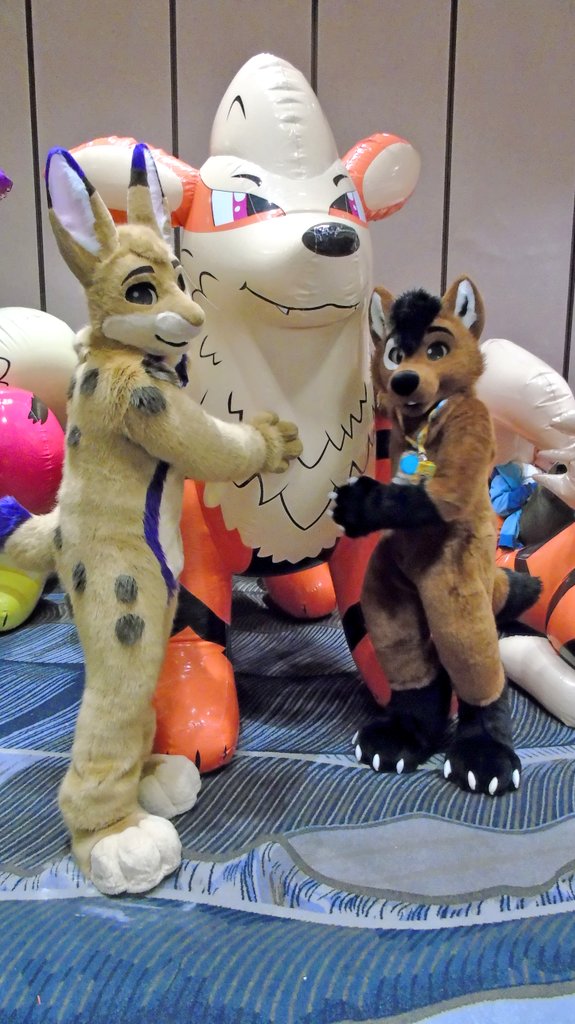 We're keeping this guy, I'm sure we'll both squeeze on him 😋
<a href="/bunzelbun/">Bunzel</a> 
🪡 <a href="/GoFurItstudios/">Go Fur It</a> 
📸 <a href="/Nate_DG_/">Nate 🐶</a> 
#FursuitFriday