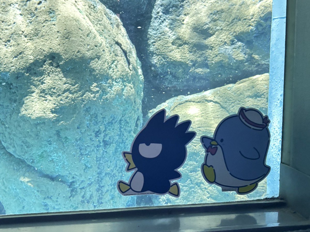 もりしま🍙 tweet media