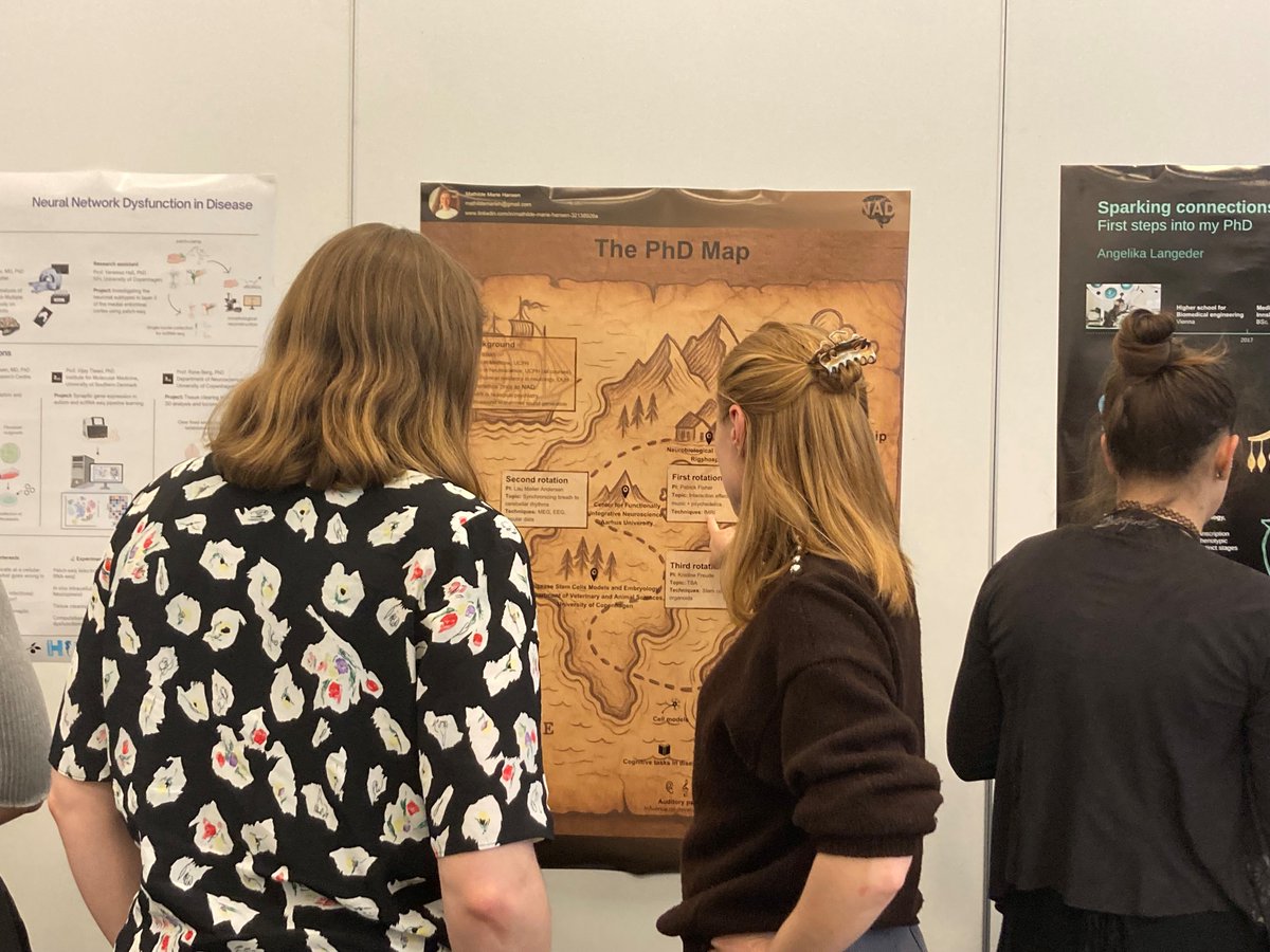 naddenmark's tweet image. NAD fellow retreat in Aarhus highlights: hosting an event about funding opportunities for junior researchers in collaboration w/local networks and participating in @AarhusUni_int&apos;s annual Neuroscience Day 🧠