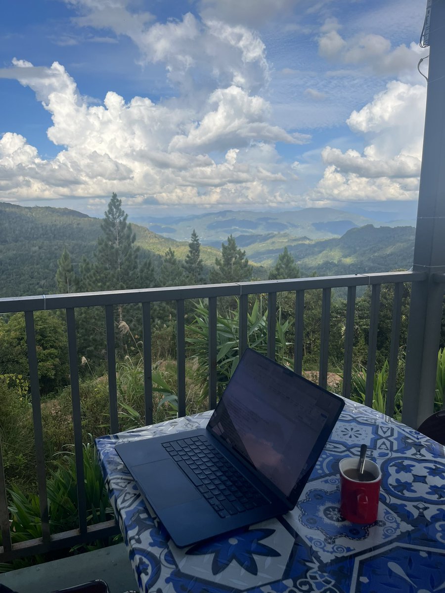 samdubbelman tweet media