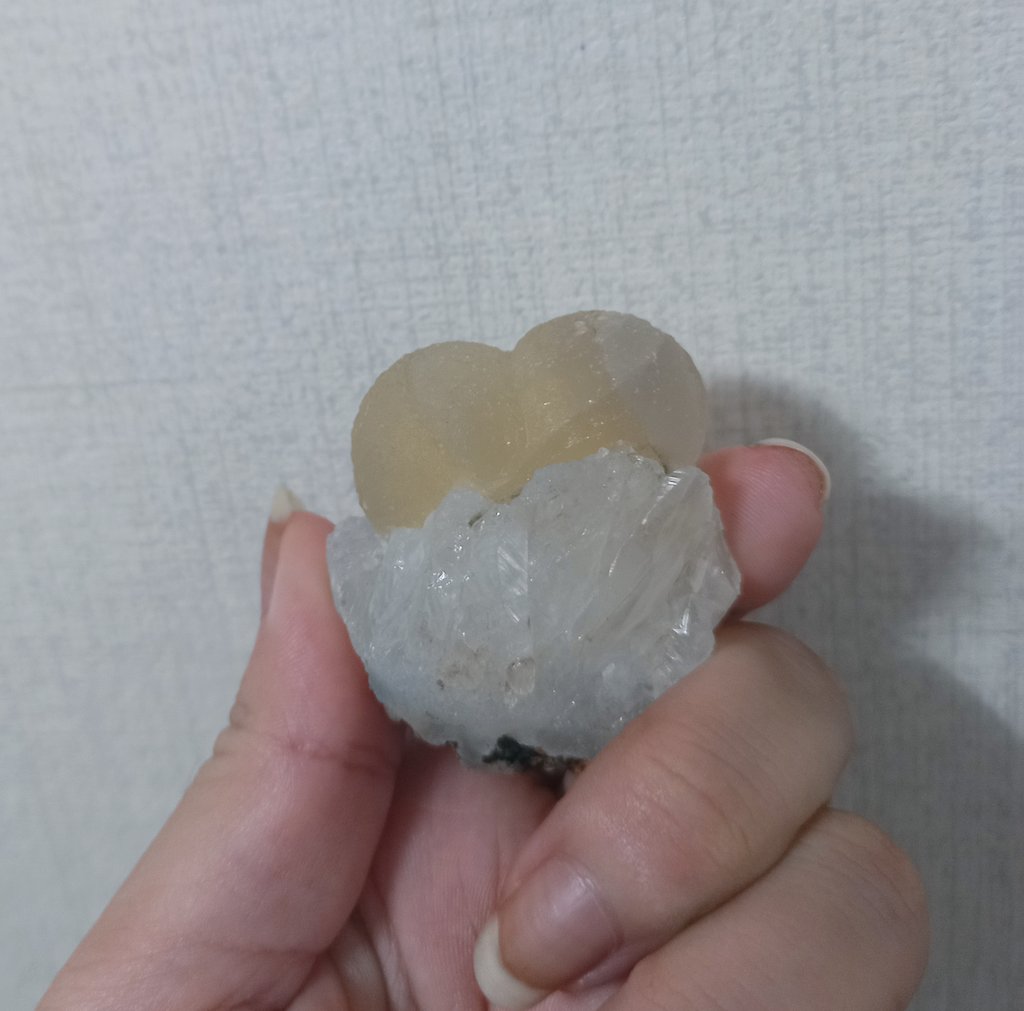 히히 동글동글 귀여운 돌💛