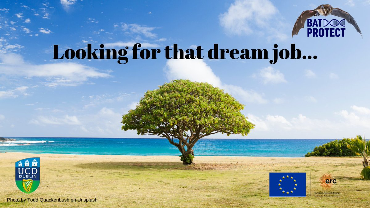 JimmyJammy09's tweet image. ✨Research Laboratory Manager, UCD Bio and Envir. Science #ERC grant
Two of the greatest challenges that society faces are #HealthyAgeing and better resistance to #InfectiousDiseases
universityvacancies.com/university-col…
@EmmaTeeling1 @UCDSBES @BatLabUCD
🦇🦇🦇🦇🦇