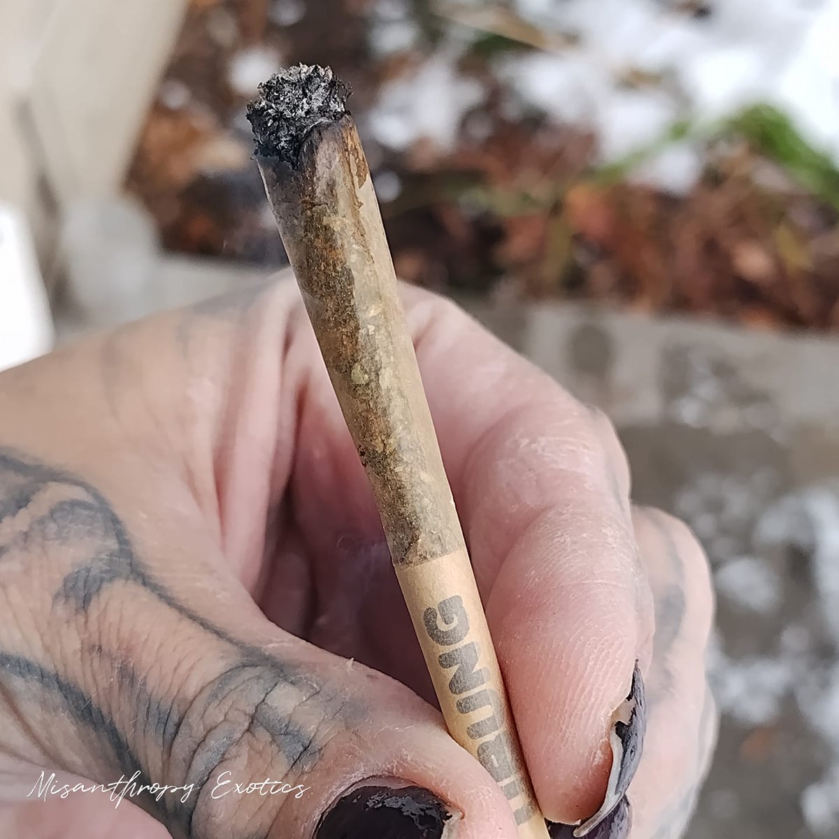 Where would you most like to go on a business trip? #high #StonerFam #highAF