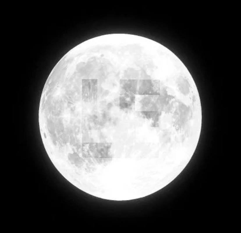 Pumchito tweet media