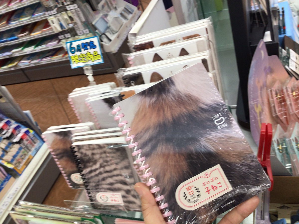 コクヨの10周年記念。
ぷにぷに子ねこソフトリングノート。

使いやすいA6サイズで新登場！
愛猫ちゃんを見つけにきてね♪

お店でお待ちしてます♪
#リングノート
#コクヨのノート
#猫好きの
#犬好き
#猫の毛色