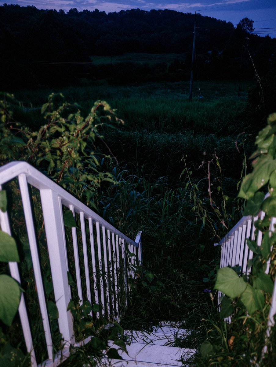 anju 🦌 tweet media