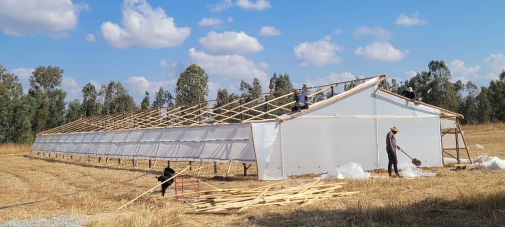 Cynthia Jera tweet media