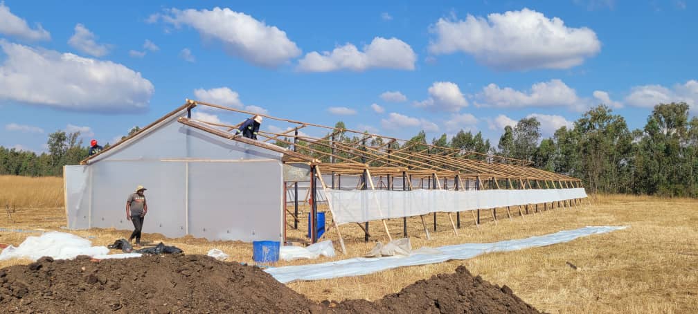 Cynthia Jera tweet media