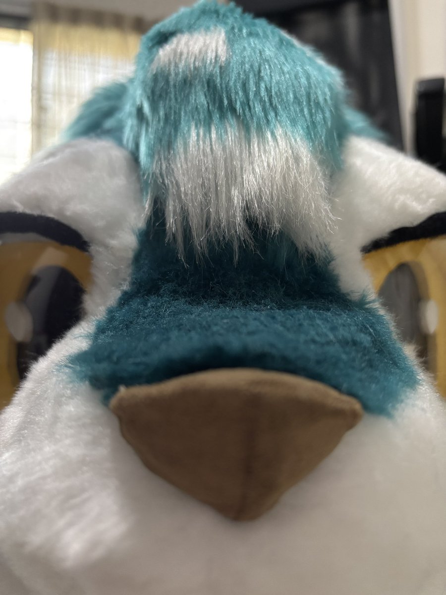 Whatcha doing?
#FursuitFriday 

🧵: <a href="/CadenzaStudioTW/">CadenzaStudioTW</a>