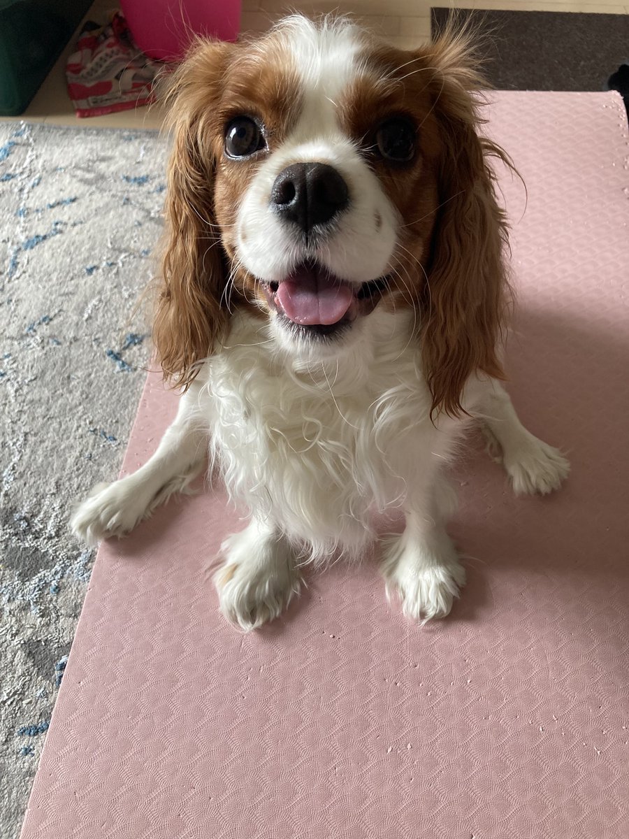 cando1998's tweet image. 最高の友だ