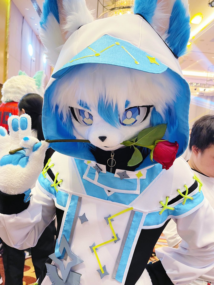 🌹
📷💙:<a href="/Amiu333/">Miu</a> 
#FursuitFriday