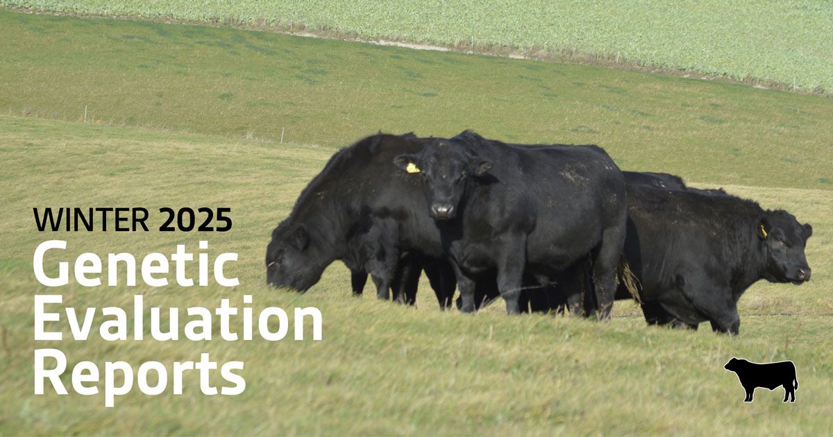 ❄️Winter 2025 Genetic Evaluation reports now available ❄️

Based on the June 2025 TransTasman Angus Cattle Evaluation, updated versions of the following reports are now available.

Read more 👉  buff.ly/K40Dy2h