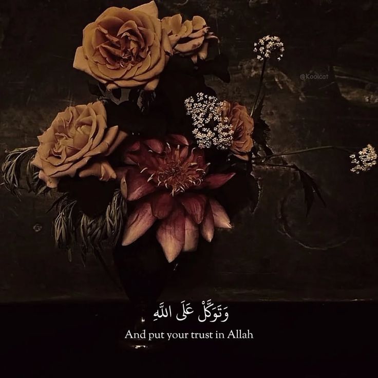 Put your trust in Allah.