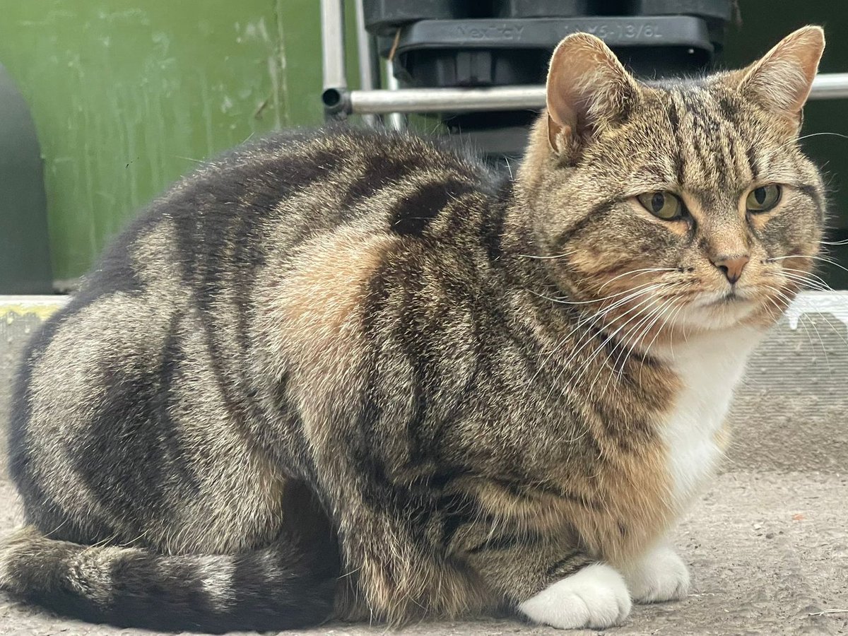 (Amanda) I think I look quite good in this photo Pip took.

Betty loves it, she says I look very relaxed and cuddly.

I'm not so sure about that. Cuddly - maybe but not relaxed. 

My mind is working all the time, there are many things to think about.

I need to switch off a bit.