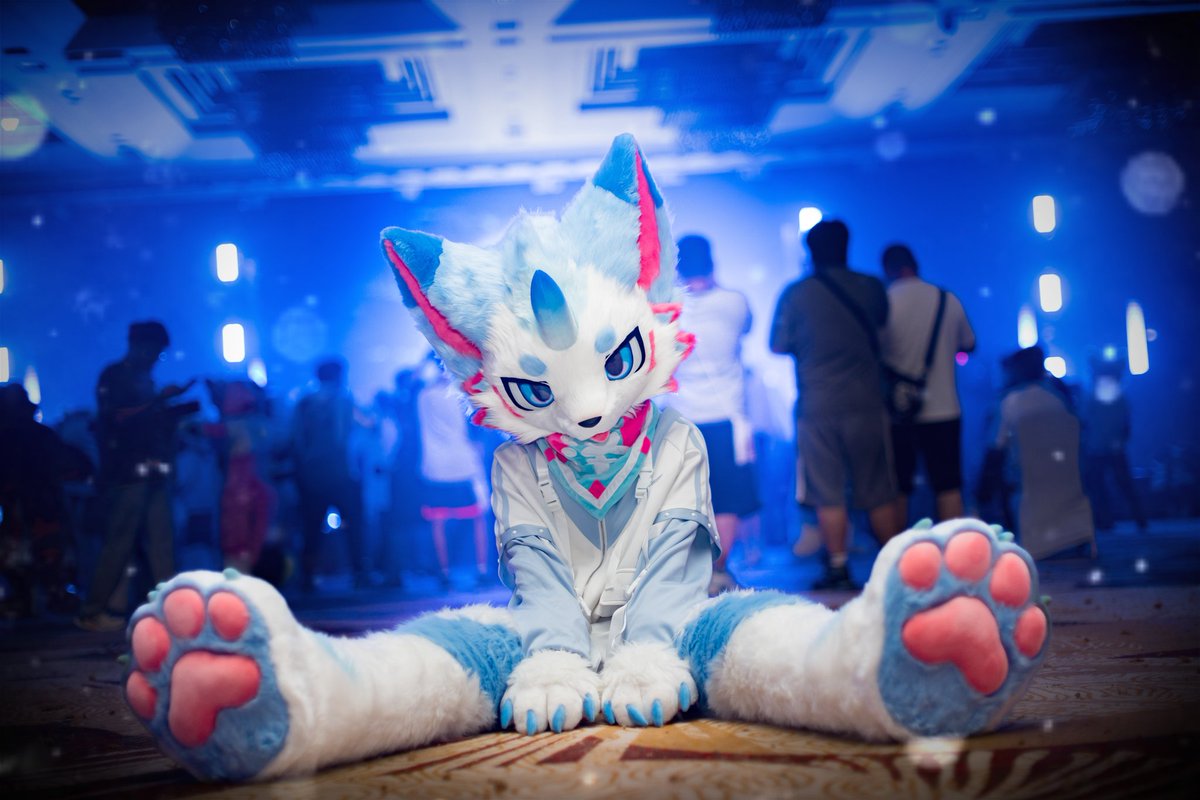 GaoGaofurry's tweet image. 这周五是 paws time🩵🩷 !
📷 @OGWOLF_yueyin
#FursuitFriday #Guze #Furry
