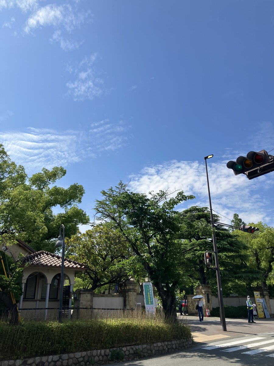 お天気がくずついた後の晴れ間☀️
ちょっと💦暑すぎません⁇💦
#関学
#晴れ間
#あっつ