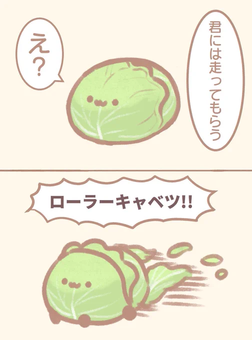 ローラーキャベツ 