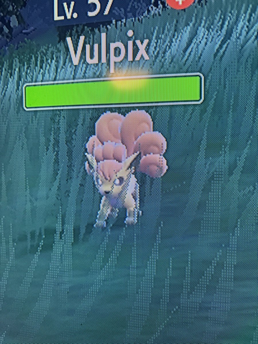 BeeIsHere11's tweet photo. Full odds random shiny Vulpix in Violet! #shinypokemon #shinyhunting https://t.co/JsVn7OLEqU
