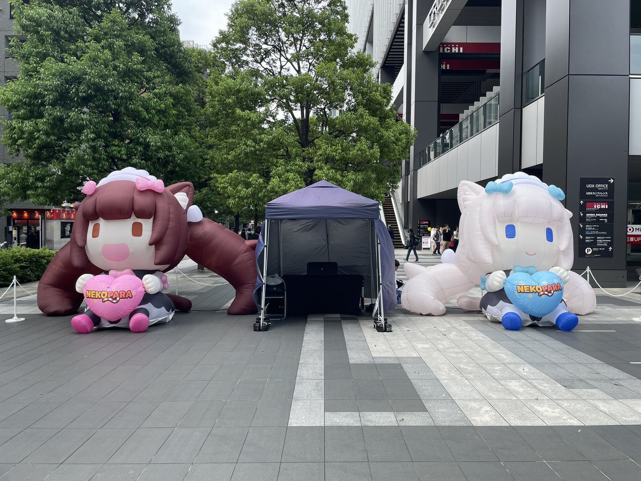 ネコぱら セカイコネクト公式 on X: 