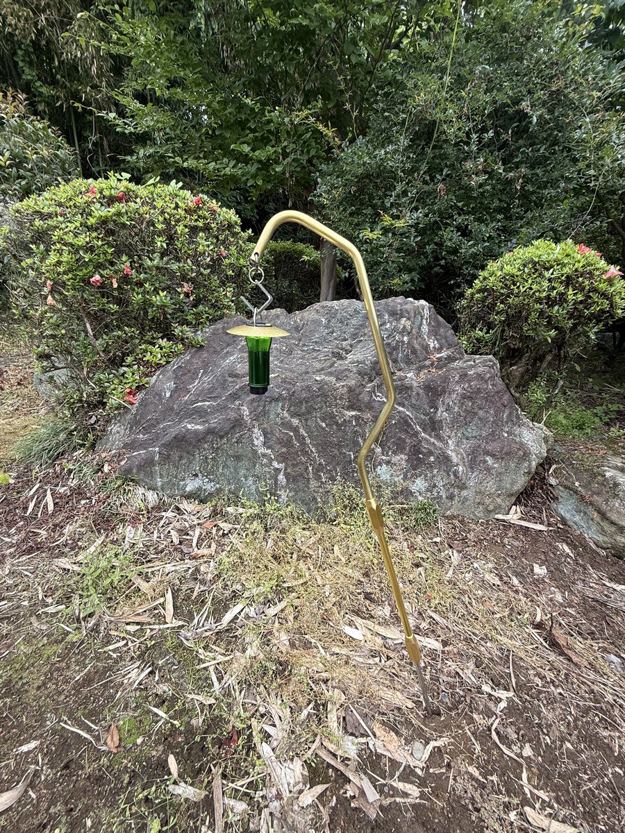 bluerunner1978's tweet photo. 届いたのはTELASS solo 真鍮
やっぱり真鍮は重厚でカッコいい🤩🤩🤩
経年変化でカッコ良くなるといいなぁ〜

#TELASS  #ippo https://t.co/KiC5h43qSk