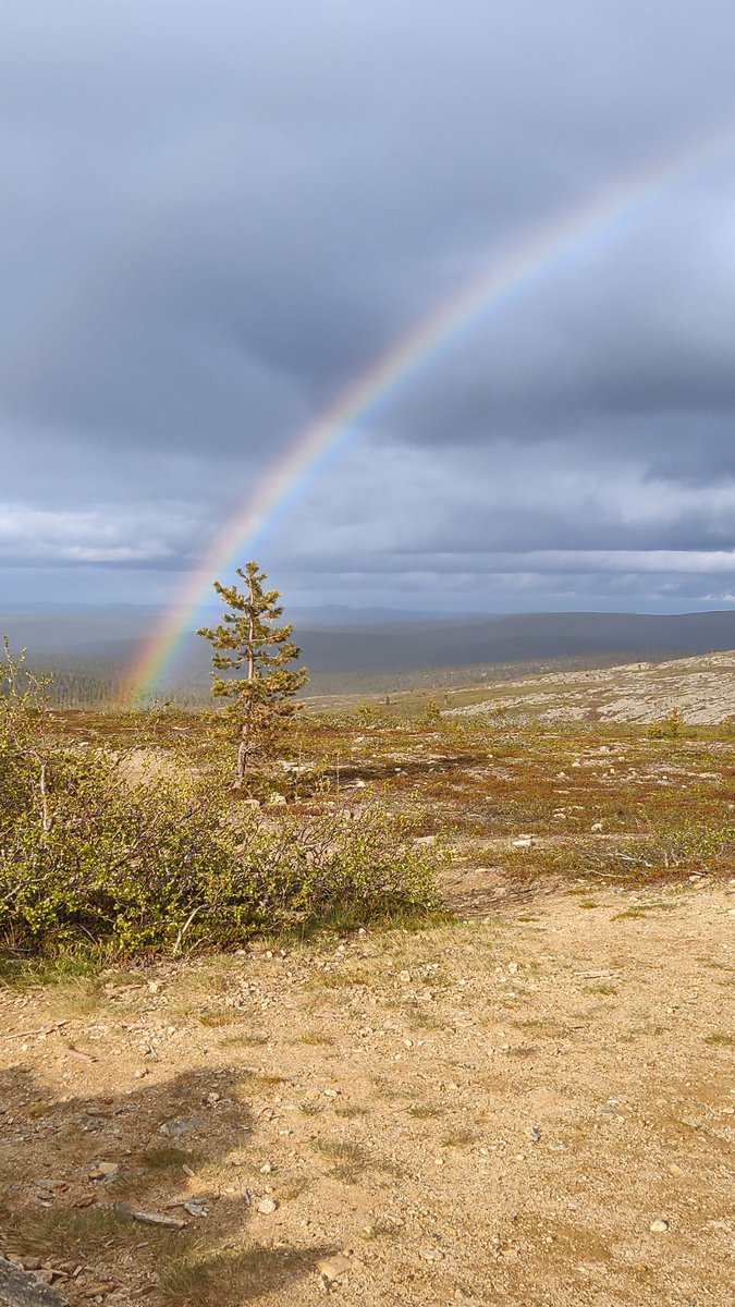 Iisakkipään huippu 12.6.2025

Sateenkaaren aarre 🌈

@saarisel