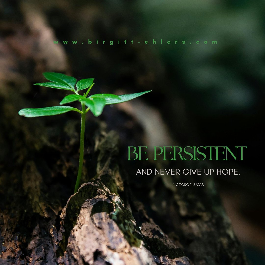 Be persistent and never give up hope.