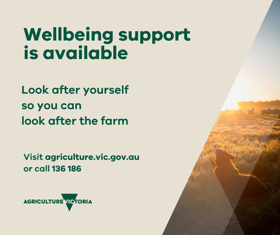 Taking care of yourself in tough times is as important as taking care of the farm. There are wellbeing and mental health services available to help: <a href="/FarmerHealth/">The National Centre for Farmer Health</a> <a href="/RoyalFlyingDoc/">Royal Flying Doctor Service</a> <a href="/RFCSVicWest/">RFCSVicWest</a>