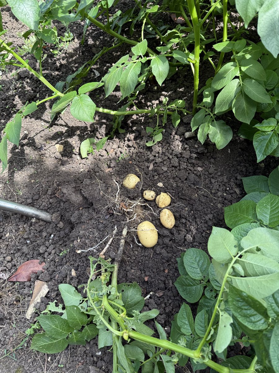 Ross Leadbeater tweet media