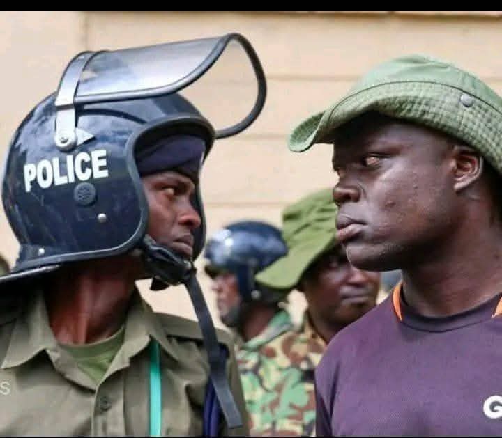 No Context Photography 

*credits to the owner