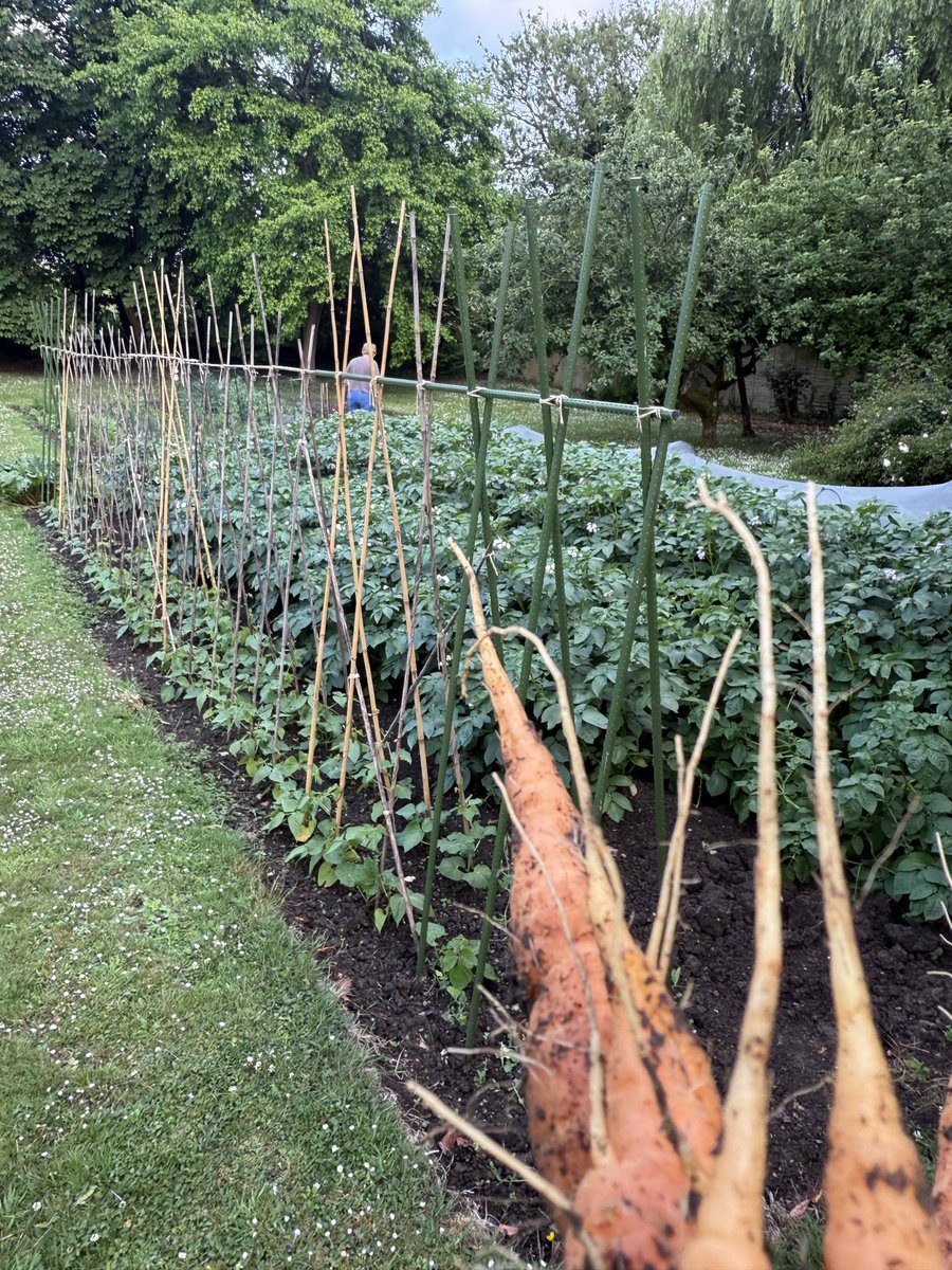 Ross Leadbeater tweet media