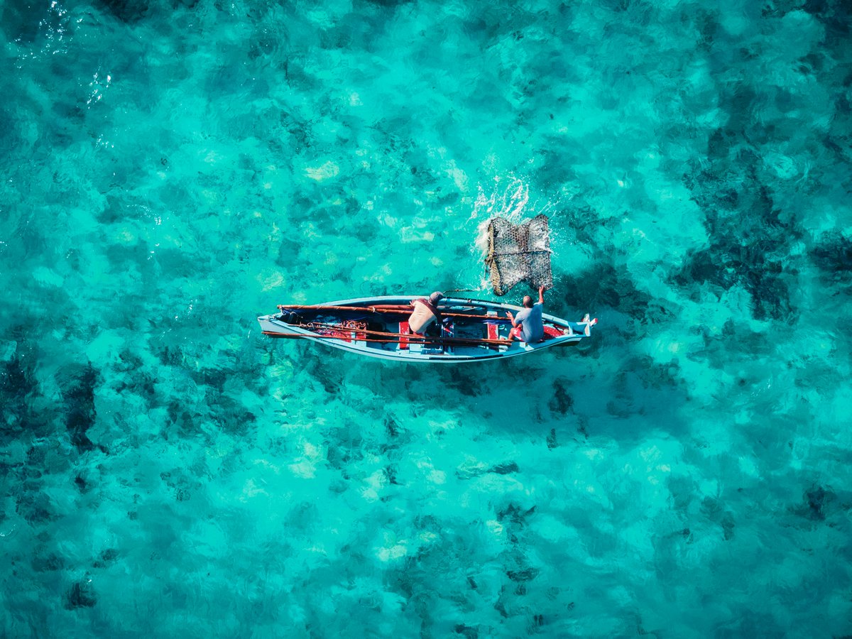 Mauritius Tourism (India) tweet media