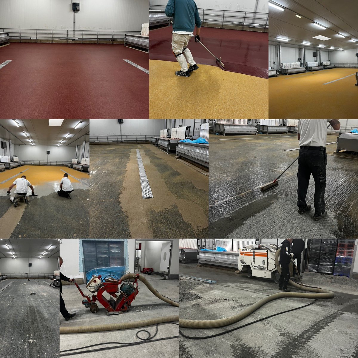 Plastifloor resins are used to renovate coolers in a short time. The new floor is ready for use only 2 h after sealing. More info: plastifloor.net