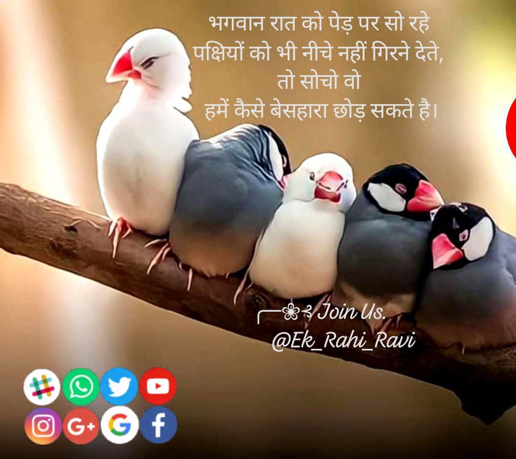 भगवान रात को पेड़ पर सो रहे
 पक्षियों को भी नीचे नहीं गिरने देते, 
तो सोचो वो
 हमें कैसे बेसहारा छोड़ सकते है।

╭─❀⊰ Join Us.
         <a href="/Ek_Rahi_Ravi/">☀रविन्द्र सिंह मनाणी☀🇮🇳</a>