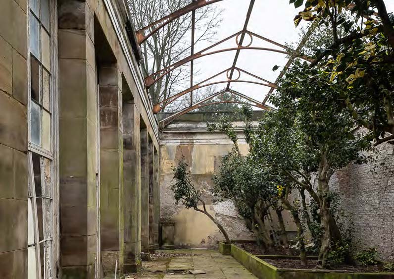 🏆 The Camellia House Has Won a Major European Award 🏆

Read the full story here: wentworthwoodhouse.org.uk/news/the-camel…