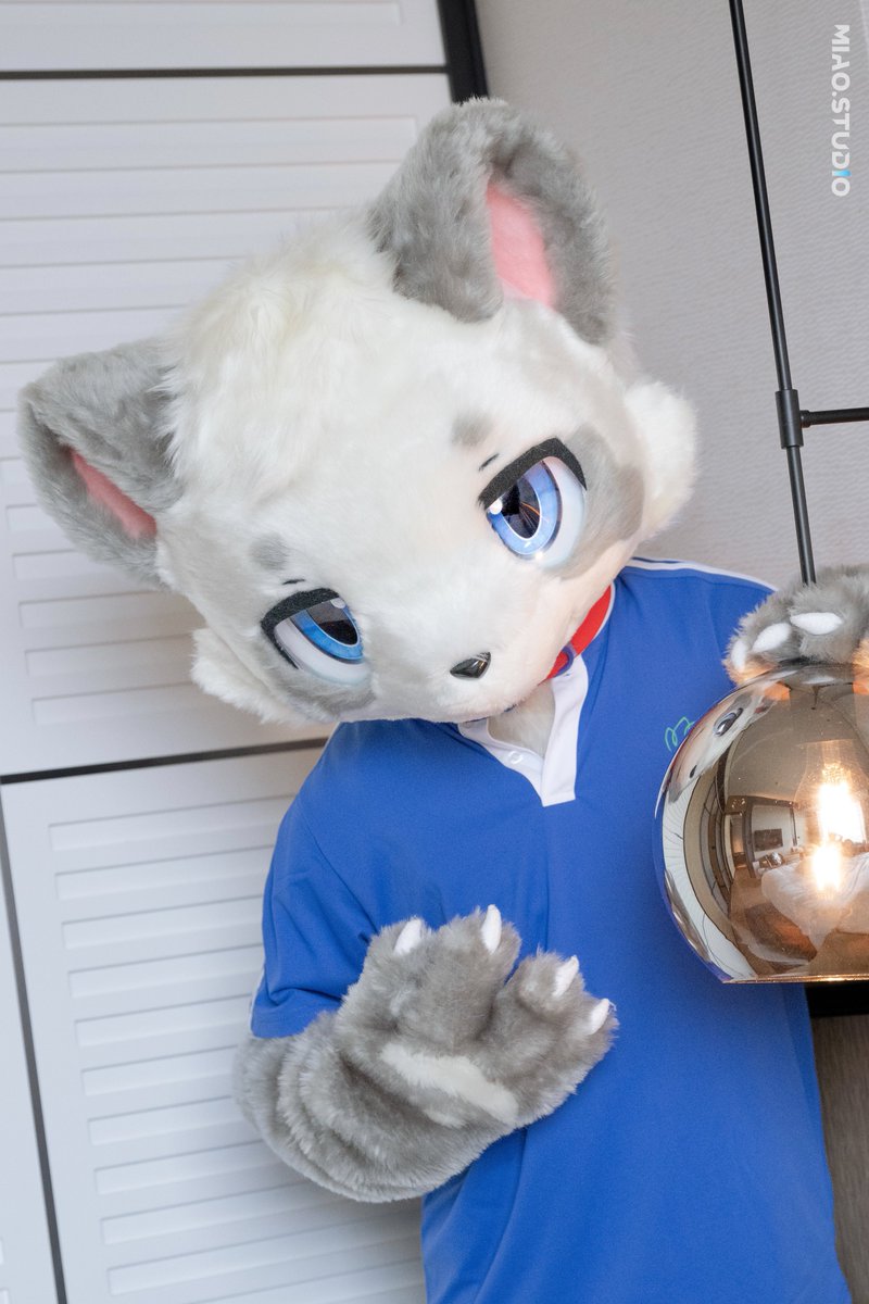 今天是校服小熊猫🐼
#FursuitEveryday #furry #fursuit #兽装