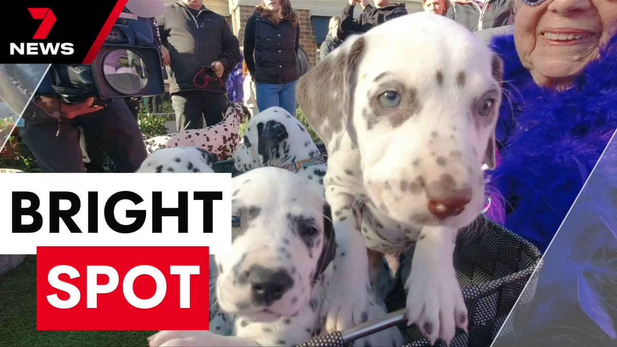 A great, great grandmother from Melbourne’s east has marked her 101st birthday surrounded by dalmatians. But the spotted dogs were only part of a wild day of celebrations in Clayton. youtu.be/YxK8C4AbH1o <a href="/SaraJones_7/">Sara Jones</a> #7NEWS