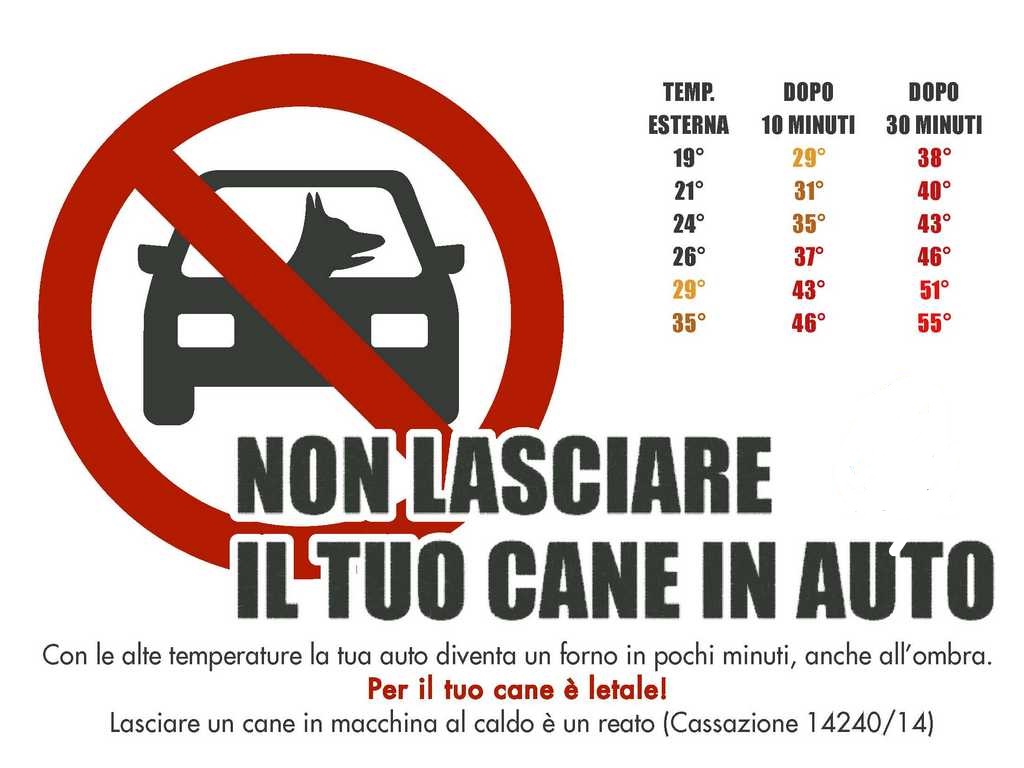 Polizia Locale tweet media