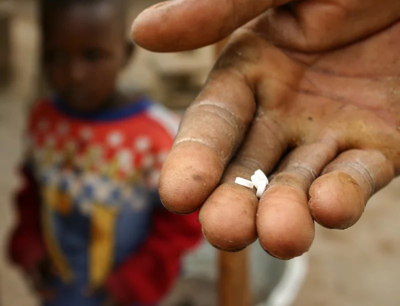 伊维菌素是地球上受抑制最严重的药物。

它能溶解肿瘤，防止转移，并杀死癌症干细胞。有些人用它来作为一种抗癌疗法。

以下是您需要了解的所有信息：

首先，什么是伊维菌素？

20 世纪 70 年代，科学家发现了这种抗寄生虫化合物，其治疗热带疾病的效果比任何药物都要好。

它来自一种名为链霉菌
