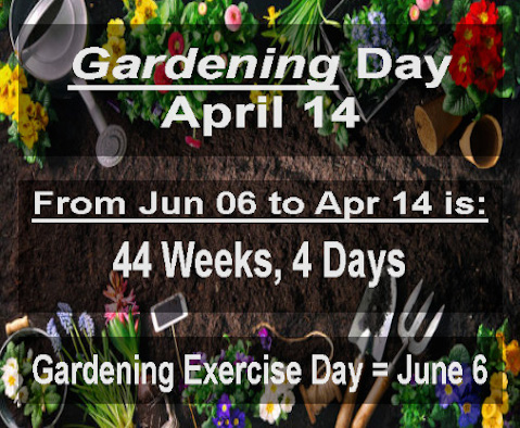 JTC10203's tweet photo. 🌿🧤🌻
Date=13/6
16th Triangular=136
353 Days>1/6
Weed=71=Prime 353
Gardening=164=Day of Year
Garden=113=Exercising 
#Gematria https://t.co/5Dde8Chk18