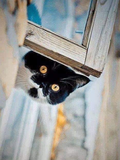 Buondì😽….👋💋