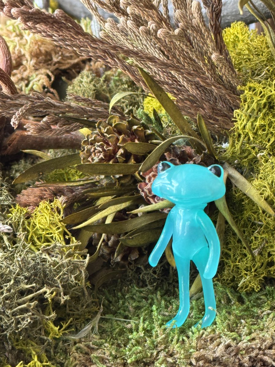 ☀️こんにちは☀️

本日もワンダショップオープンしております♪
ワンダショップでは販売中の全ドールを直接手に取ったりご覧いただくことができます🐸✨
登場ほやほやのマシロやエイメ、発売予定の新フレンドなども展示しております🌟

𝟲/𝟭𝟯 𝗢𝗣𝗘𝗡 𝟭𝟰:𝟬𝟬-𝟭𝟴:𝟬𝟬