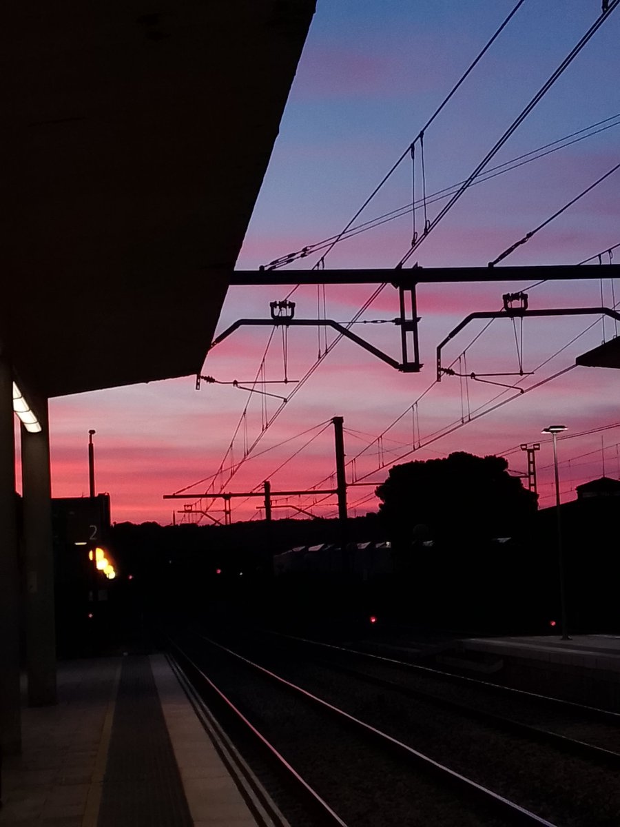 carolwakeup's tweet photo. 1- subida a los andamios para ver la Magdalena 
2- libro de cumple 
3- don cactus siendo agradecido con un mínimo de agua que le dé 24/7
4- atardecer en la estación https://t.co/0mp4wfaq7d