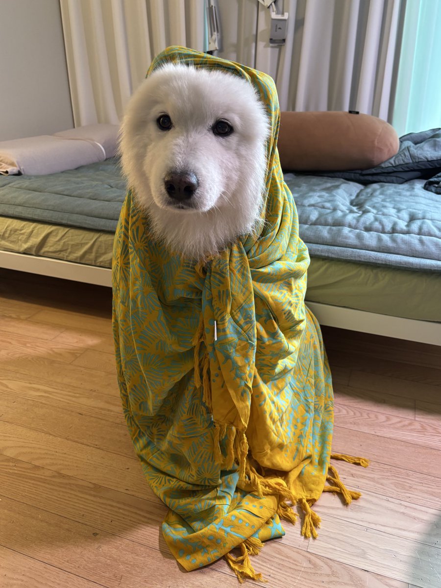 공주