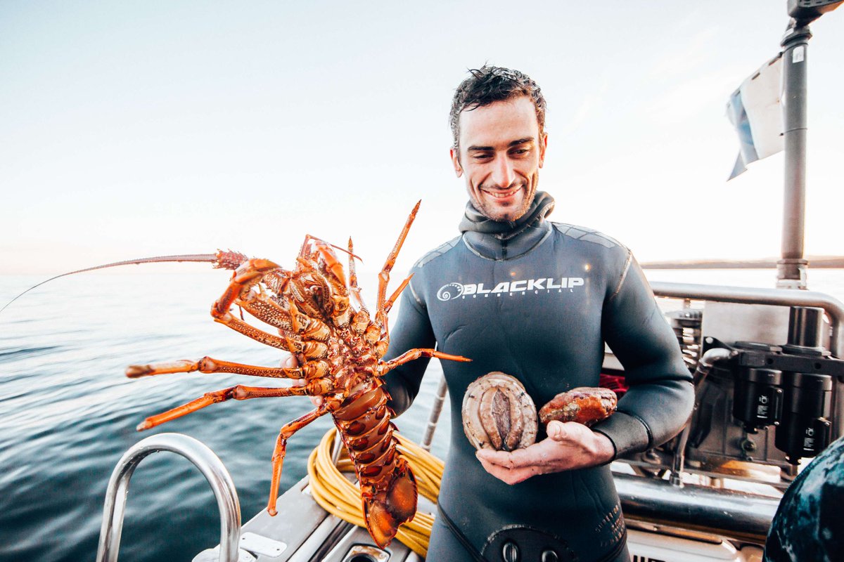 Figures show Vic has passed the State Gov's target of $20 billion in food &amp; fibre exports by 2030.

Gippsland has a $7b food &amp; fibre industry with approx 15,400 people in agriculture, forestry &amp; fishing.

Full report here: global.vic.gov.au/news-events-an…. @FoodandFibreGippsland