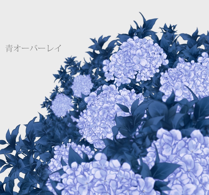 clipstudiopaint's tweet photo. 🌼클튜 에셋 추천 소재🌼

지금 한창 피어 있는 수국
수국을 그릴 때 이 무료 소재를 써 보세요

https://t.co/rrR9pzucTD
https://t.co/txPUTXJ9IH
https://t.co/b07Fys4aA7
https://t.co/rh7unzhn8Z https://t.co/dNWYaDNoO8